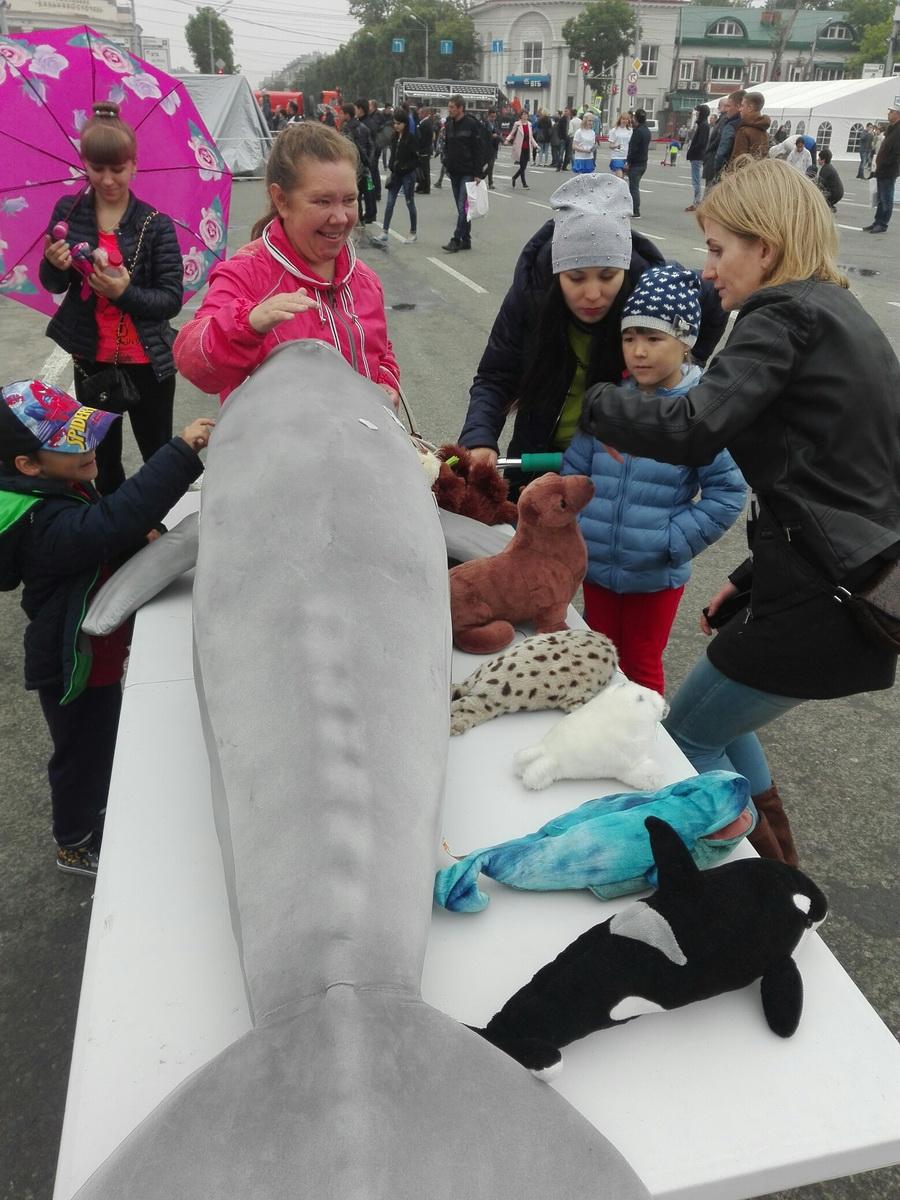 В день молодежи "Друзья океана" рассказали горожанам о морских млекопитающих