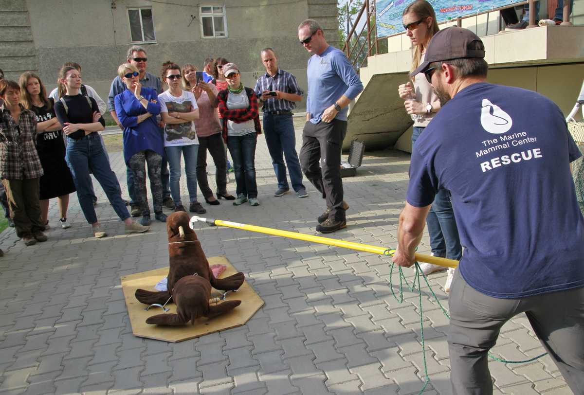 На Сахалине завершился первый в России тренинг по распутыванию тюленей от пластикового мусора