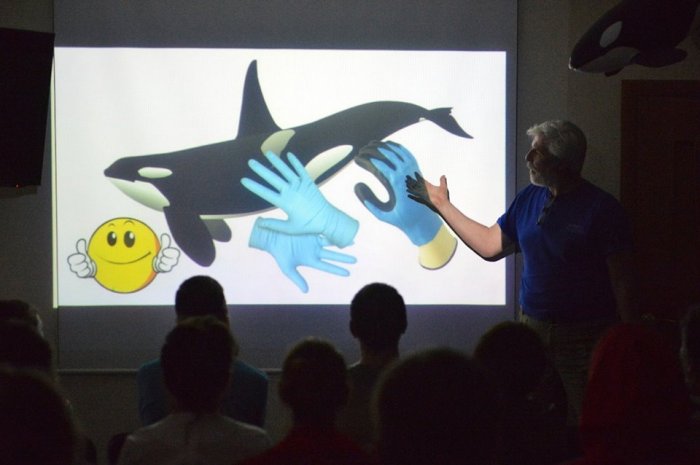 Жителей города Корсаков приглашают пройти обучающий семинар по оказанию помощи морским млекопитающим