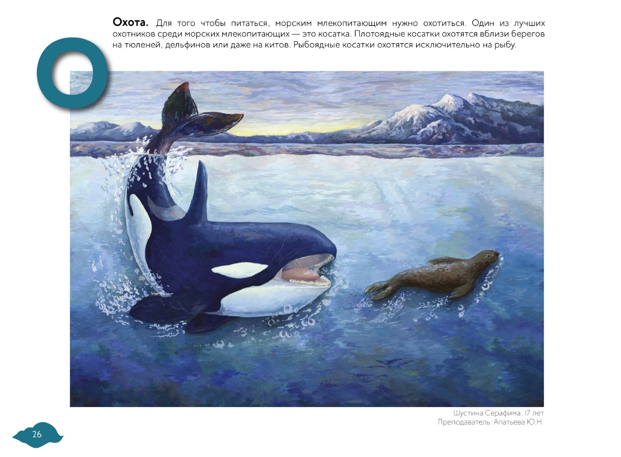 Знакомьтесь, «Азбука о морских млекопитающих»