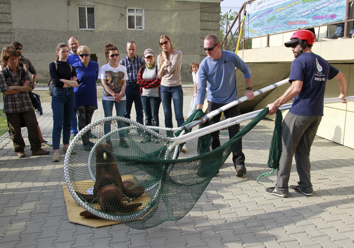 На Сахалине завершился первый в России тренинг по распутыванию тюленей от пластикового мусора