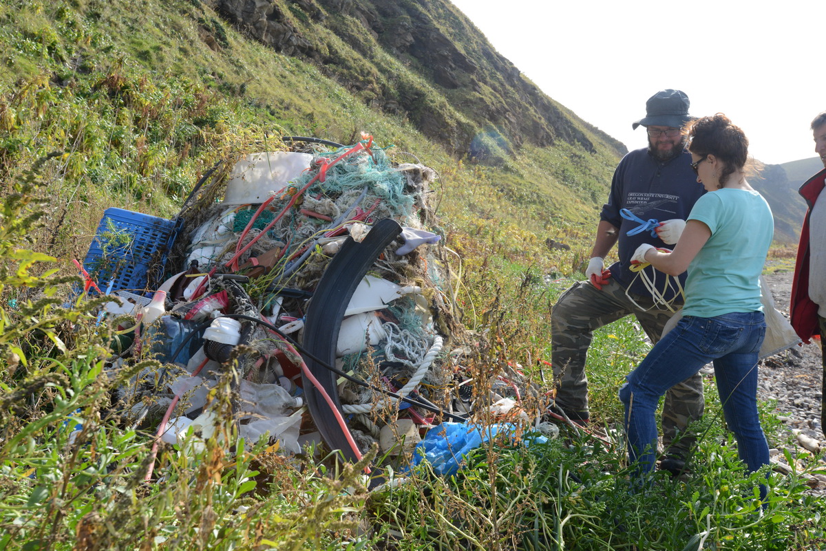 Общественники провели уборку побережья вблизи лежбища сивучей 