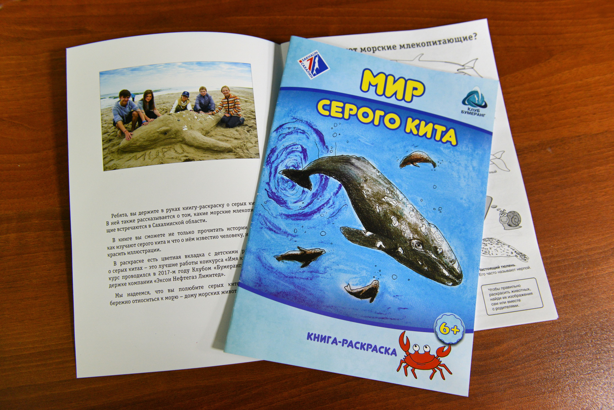 Раскраска о серых китах поможет детям больше узнать об исследовании морских млекопитающих