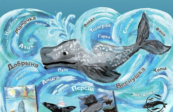 Открытие выставки детских рисунков "Имя кита"