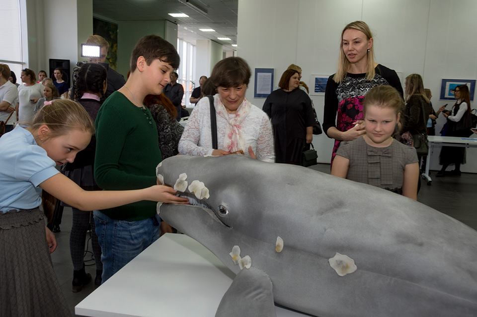 Увидеть сахалинских китов детскими глазами можно на выставке «Имя кита»