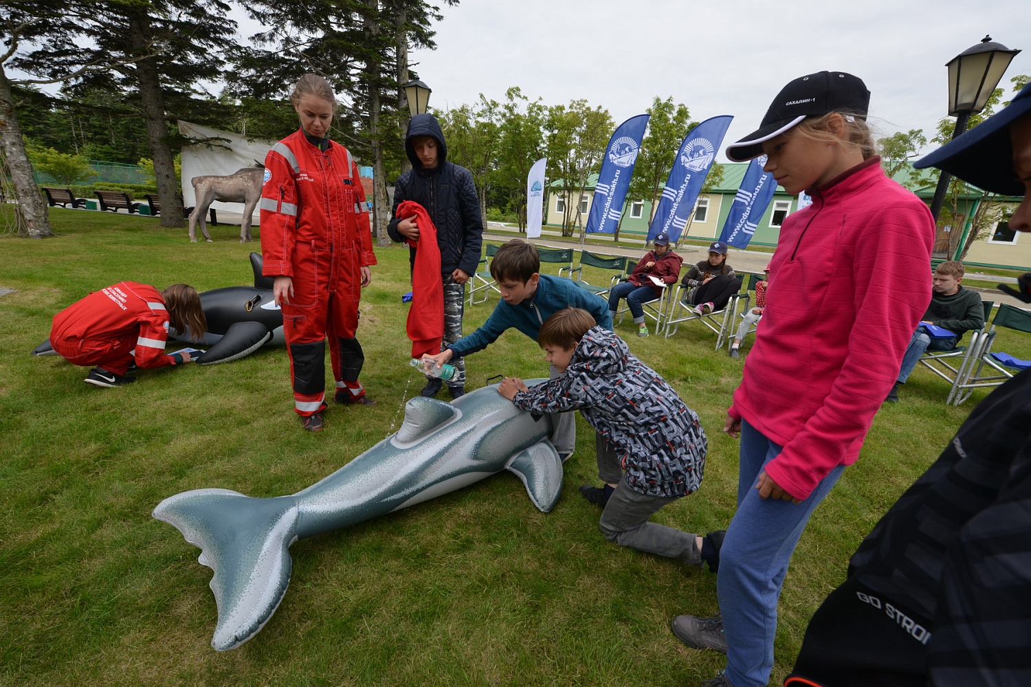 «Друзья Океана» показали детям как распутывают тюленей и снимают дельфинов с мели.