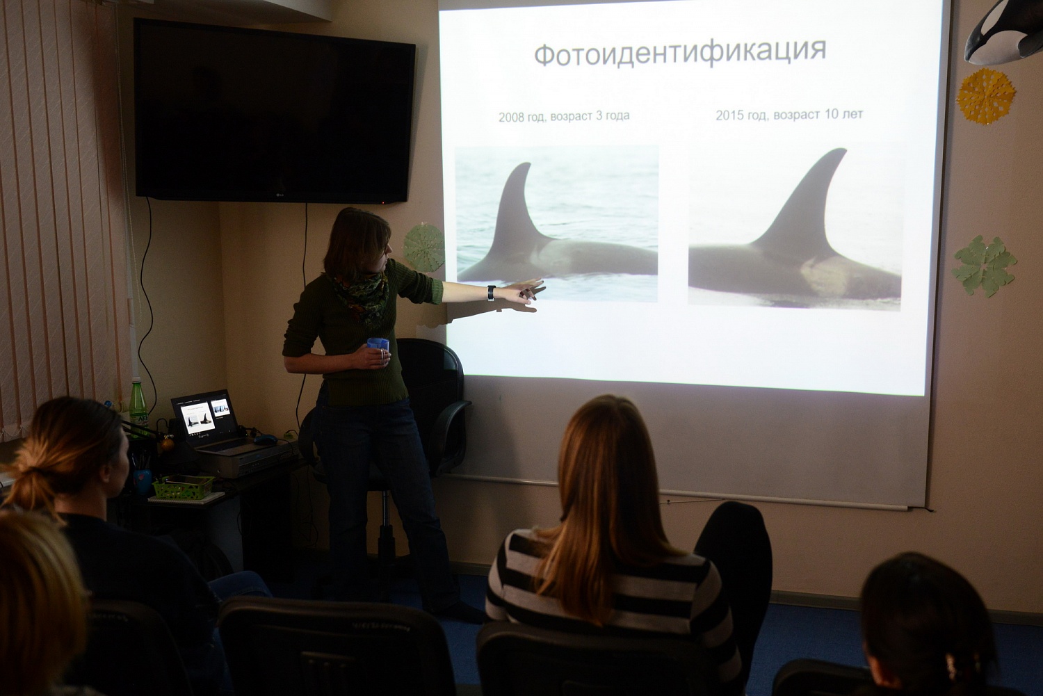 «Друзья океана» поучаствовали в семинаре о морских млекопитающих