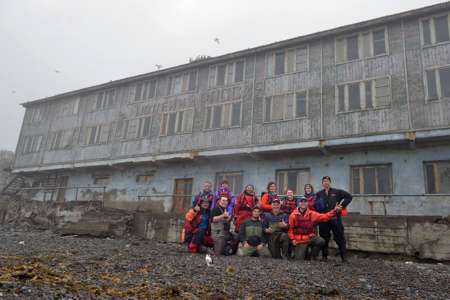 Первая в России экспедиция по спасению тюленей, запутавшихся в пластиковом мусоре