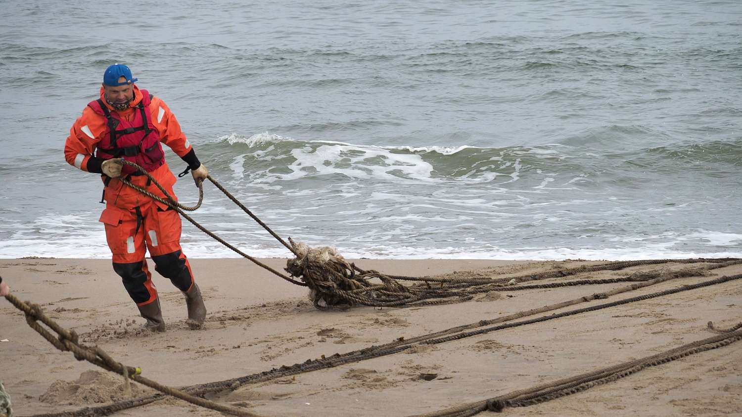 В районе залива Чайво побережье было очищено от брошенных рыболовных сетей, представляющих угрозу для серых китов
